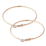 Load image into Gallery viewer, Fashion Big Hoop Earrings 2019 Hot Sale Geometric Statement Earring For Women Hypoallergenic Gold Silver Round Ear Rings Jewelry
